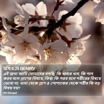 মথি 6:25 BENIRV Bible Verse Image
