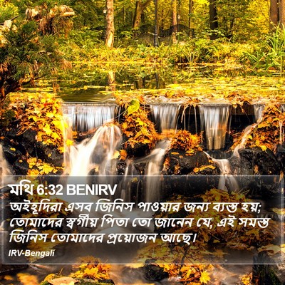 মথি 6:32 BENIRV Bible Verse Image