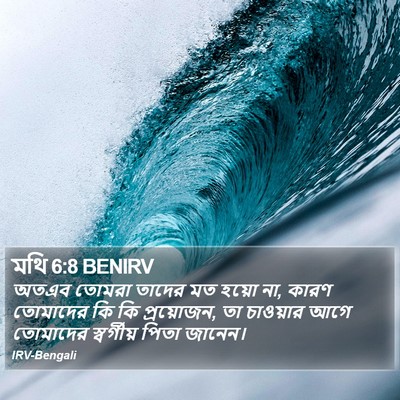 মথি 6:8 BENIRV Bible Verse Image