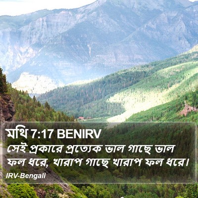 মথি 7:17 BENIRV Bible Verse Image