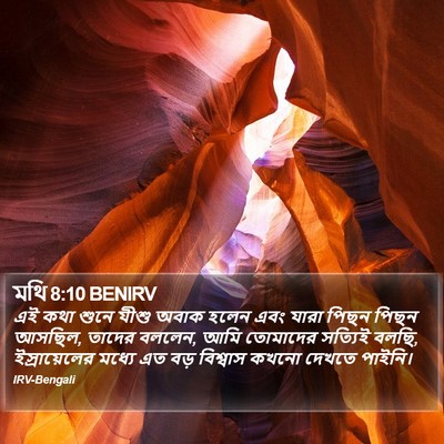 মথি 8:10 BENIRV Bible Verse Image