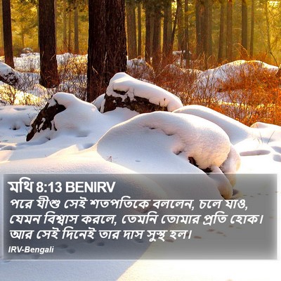 মথি 8:13 BENIRV Bible Verse Image