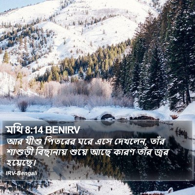 মথি 8:14 BENIRV Bible Verse Image