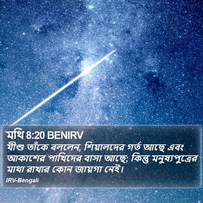 মথি 8:20 BENIRV Bible Verse Image
