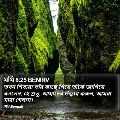 মথি 8:25 BENIRV Bible Verse Image