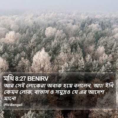 মথি 8:27 BENIRV Bible Verse Image