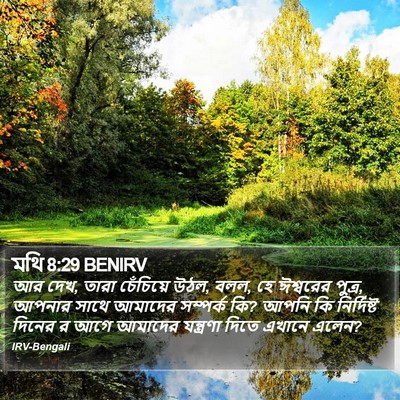 মথি 8:29 BENIRV Bible Verse Image