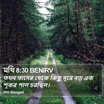 মথি 8:30 BENIRV Bible Verse Image