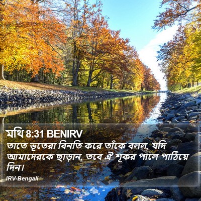 মথি 8:31 BENIRV Bible Verse Image