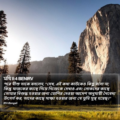 মথি 8:4 BENIRV Bible Verse Image