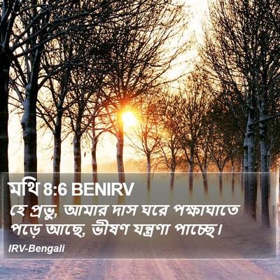মথি 8:6 BENIRV Bible Verse Image