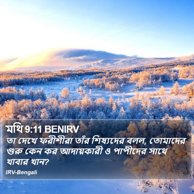 মথি 9:11 BENIRV Bible Verse Image