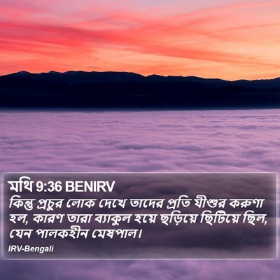 মথি 9:36 BENIRV Bible Verse Image