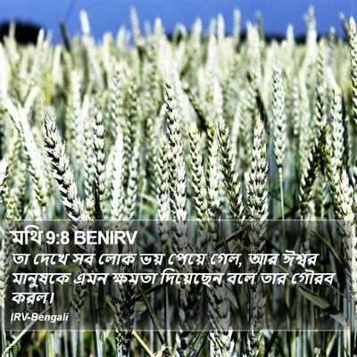 মথি 9:8 BENIRV Bible Verse Image