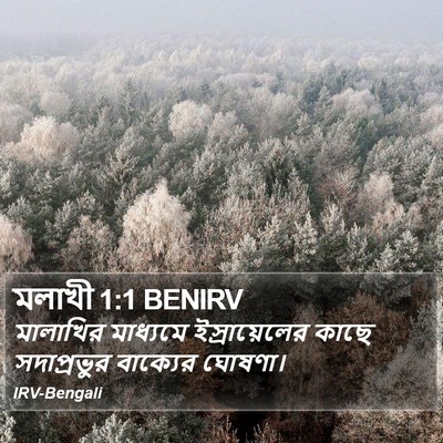 মলাখী 1:1 BENIRV Bible Verse Image