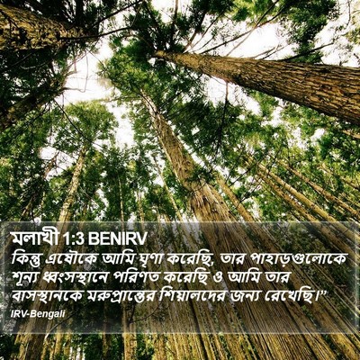 মলাখী 1:3 BENIRV Bible Verse Image