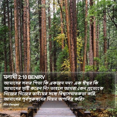 মলাখী 2:10 BENIRV Bible Verse Image