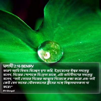 মলাখী 2:16 BENIRV Bible Verse Image