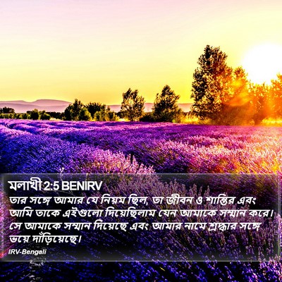 মলাখী 2:5 BENIRV Bible Verse Image