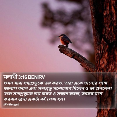 মলাখী 3:16 BENIRV Bible Verse Image