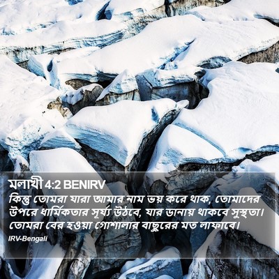 মলাখী 4:2 BENIRV Bible Verse Image