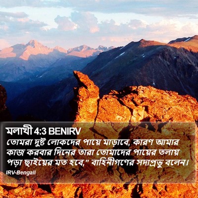 মলাখী 4:3 BENIRV Bible Verse Image
