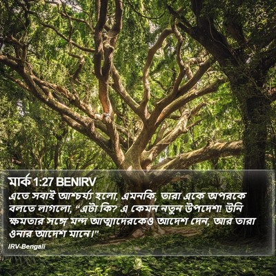 মার্ক 1:27 BENIRV Bible Verse Image