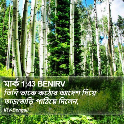 মার্ক 1:43 BENIRV Bible Verse Image