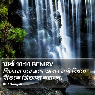 মার্ক 10:10 BENIRV Bible Verse Image