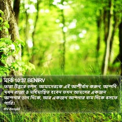 মার্ক 10:37 BENIRV Bible Verse Image