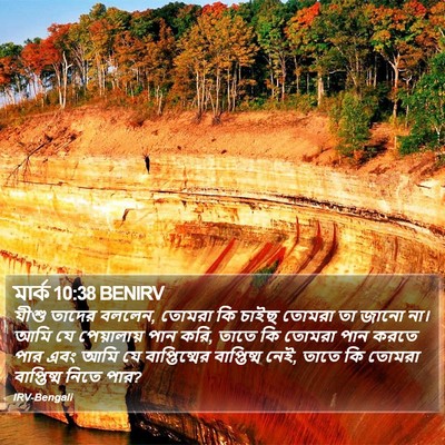 মার্ক 10:38 BENIRV Bible Verse Image