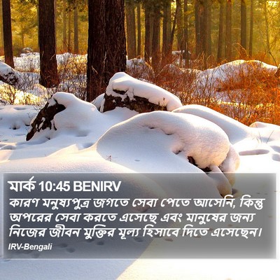 মার্ক 10:45 BENIRV Bible Verse Image