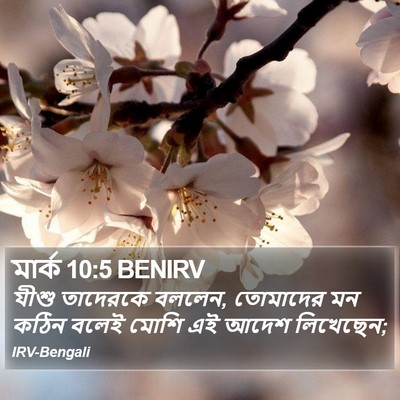 মার্ক 10:5 BENIRV Bible Verse Image