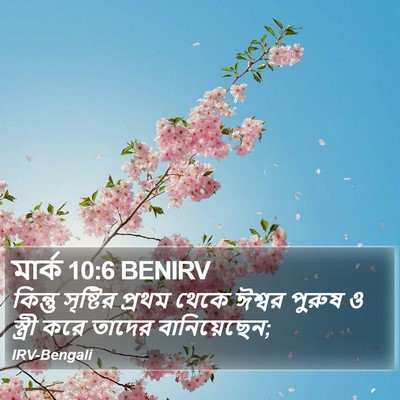 মার্ক 10:6 BENIRV Bible Verse Image
