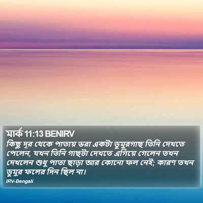 মার্ক 11:13 BENIRV Bible Verse Image