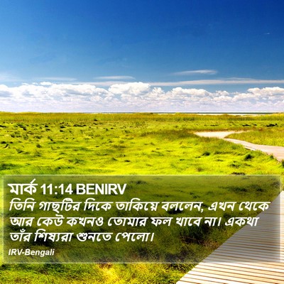 মার্ক 11:14 BENIRV Bible Verse Image