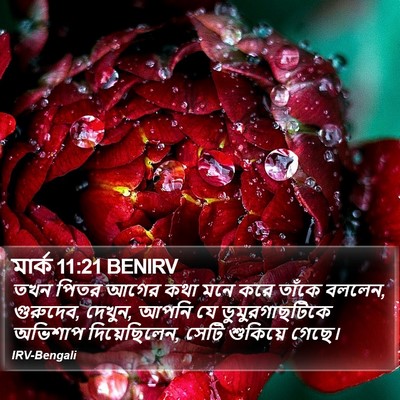মার্ক 11:21 BENIRV Bible Verse Image