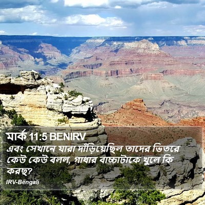 মার্ক 11:5 BENIRV Bible Verse Image