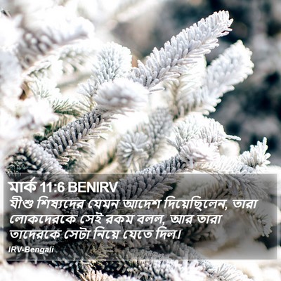 মার্ক 11:6 BENIRV Bible Verse Image