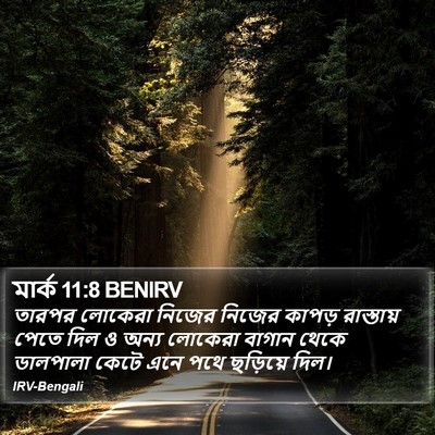 মার্ক 11:8 BENIRV Bible Verse Image