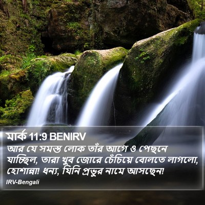 মার্ক 11:9 BENIRV Bible Verse Image