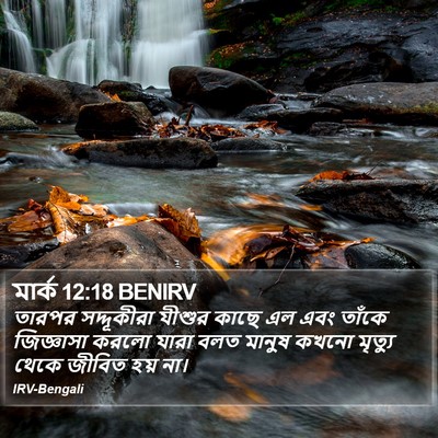 মার্ক 12:18 BENIRV Bible Verse Image