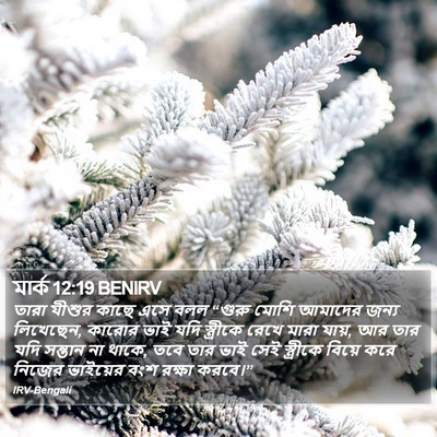 মার্ক 12:19 BENIRV Bible Verse Image