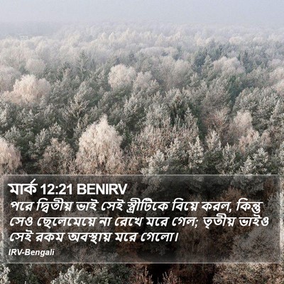 মার্ক 12:21 BENIRV Bible Verse Image
