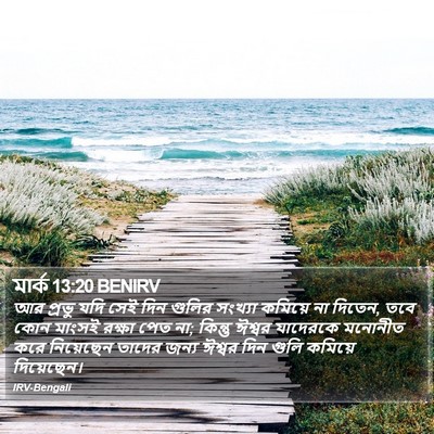 মার্ক 13:20 BENIRV Bible Verse Image