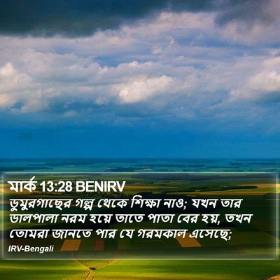 মার্ক 13:28 BENIRV Bible Verse Image