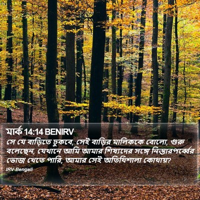 মার্ক 14:14 BENIRV Bible Verse Image