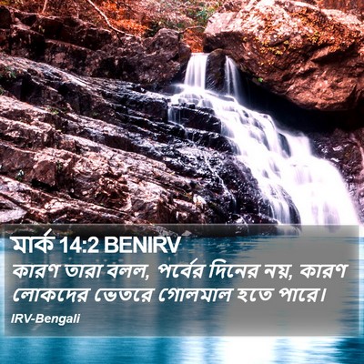 মার্ক 14:2 BENIRV Bible Verse Image