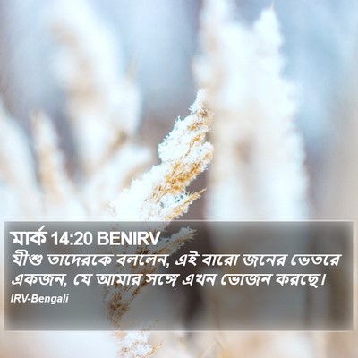 মার্ক 14:20 BENIRV Bible Verse Image