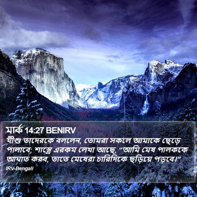 মার্ক 14:27 BENIRV Bible Verse Image